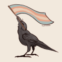 strandedphoenix avatar