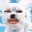 strandomranger avatar