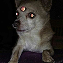 strange-0ne-blog avatar