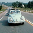 strange-squid avatar