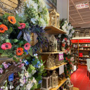 strangealienoafprofessor avatar