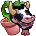 strangecowplantfinds avatar
