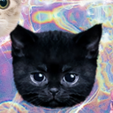 strangedreamkitty avatar