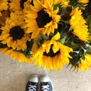 stranger-aesthetics avatar