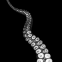 strangestthought avatar