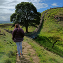 strawberry-sunflower2422 avatar