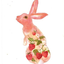 strawberrycoyotecakes avatar