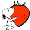 strawberryjamapplebutter avatar
