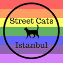 streetcatsistanbul avatar