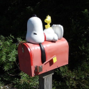 stress-is-good avatar