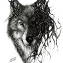 stressedwolfe avatar