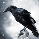 stridingcorvus avatar