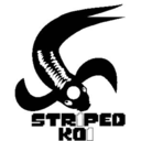 stripedkoi avatar