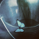 stripedtoadstools avatar