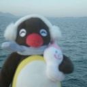 strippedversion161 avatar