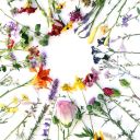 striving-for-positivity avatar