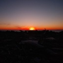 striving4thebestme avatar