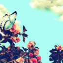 strixx-positivity avatar