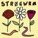 strngwrm avatar