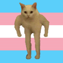 strongcat-backup avatar