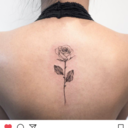 strongmentalities avatar