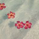 stuckiinmyhead avatar