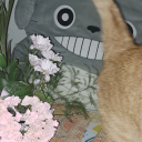 stuckimaginationuniverse avatar