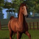 studoffearless avatar