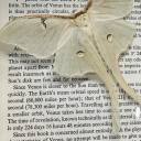 study-buggity avatar