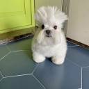 study100prcent avatar