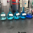 studyblringstudent avatar