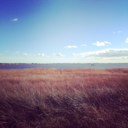 studylikeafrenchie avatar