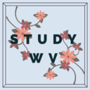 studywv-blog avatar