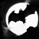 stuffed-bat-official avatar