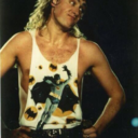 stupidpicturesofdefleppard avatar