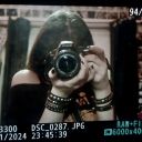 sturnsdarling avatar