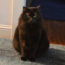 subarulesbian avatar