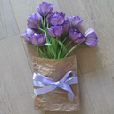 subgingerxoxo avatar