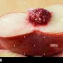 sublimepeachtriumph avatar