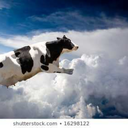 sublimesoulstudentu avatar