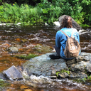 succulent-hoe avatar