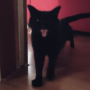 suddenly-lost-in-the-woods avatar