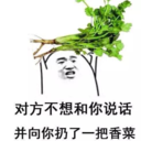 sueeeeeeey-blog avatar