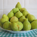 sufferingdiaries avatar