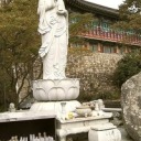 suitdistracted avatar