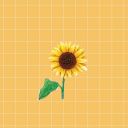 summerbeachsunflowersyellow avatar