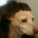 summerthunderz avatar