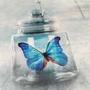 sun-kissedlana avatar