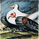 sunbeam-the-man avatar