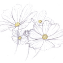 sundeprived-blog avatar